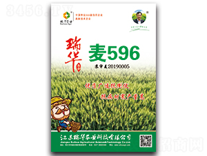 ����596-С������-��ũҵ