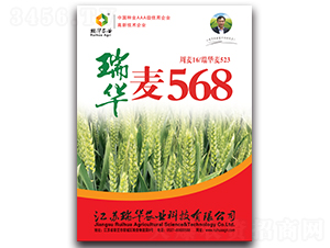 ����568-С������-��ũҵ