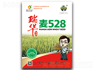 ����528-С������-��ũҵ