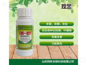 �׷�һ����-ɩ��-��������