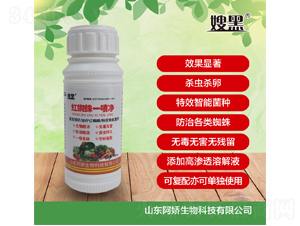 ��֩��һ�羻-ɩ��-��������