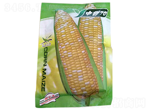 ����70-��������-������ҵ