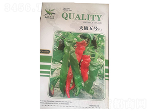 �콷���F1-��������-������ҵ