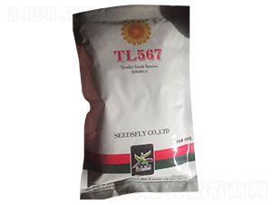 TL567���տ�����-������ҵ