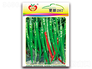����207-�߽�����-ũ��