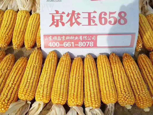 ��ũ��658-��������-ũ����
