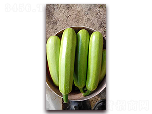 ����һ��-����«����-ũ֮��