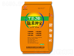 ����ֲ��ˮ�ܷ���-���ؼر�-����߿�