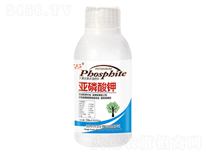 200ml�������-��������