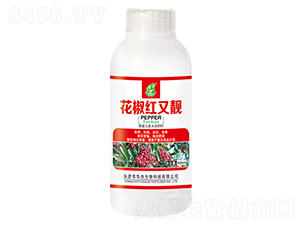 500ml����������-��������