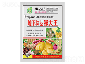 ���¿龥�����-��������
