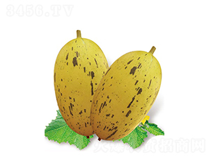 �Ҹ�������-�������-�߶���ҵ