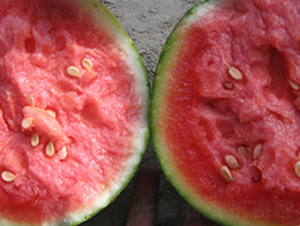 �н�����-��������-�н���ҵ