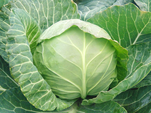 �ո�35-��������-�н���ҵ
