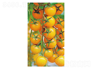 �ƽ�һ��-С��������-�߶���ҵ