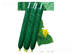 ����58-�ƹ�����-�߶���ҵ