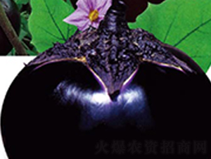 ���µ�һ������-��������-�߶���ҵ