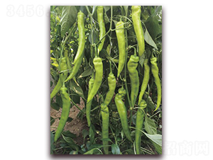 �콾709-��������-��ͼ��ҵ