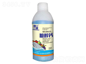 1000g�Ǵ���-�ﲹ