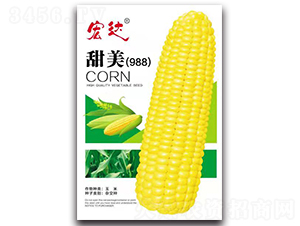 ����988-��������-���