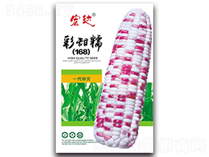 ����Ŵ168-��������-���