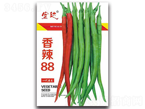 ����88-��������-���