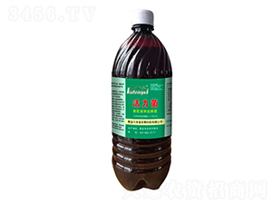 ��ʸ��췢�;�-������-������