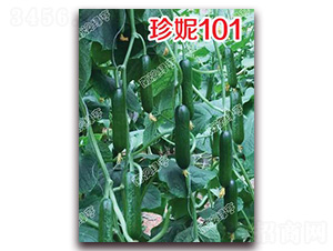 ����101-С�ƹ�����-�ϰ��̺�