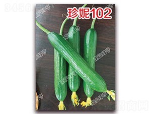 ����102-С�ƹ�����-�ϰ��̺�