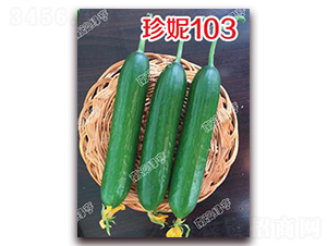 ����103-С�ƹ�����-�ϰ��̺�