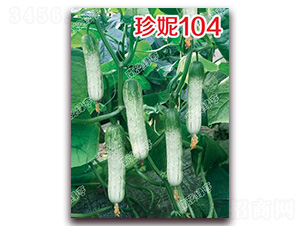 ����104-С�ƹ�����-�ϰ��̺�
