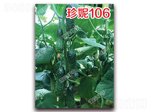 ����106-С�ƹ�����-�ϰ��̺�