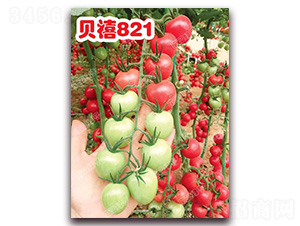 ����821-ӣ�ҷ�������-�ϰ��̺�