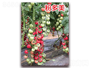 �۶���-ӣ�ҷ�������-�ϰ��̺�