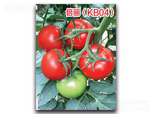 ������KB04��-��췬������-�ϰ��̺�
