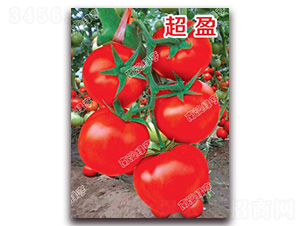 ��ӯ-��췬������-�ϰ��̺�