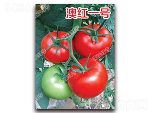 �ĺ�һ��-��췬������-�ϰ��̺�