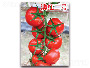 �ĺ����-��췬������-�ϰ��̺�
