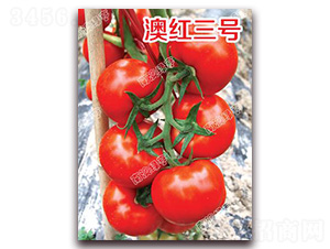 �ĺ�����-��췬������-�ϰ��̺�