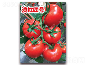 �ĺ��ĺ�-��췬������-�ϰ��̺�