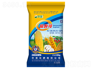 40kg�����-��¢