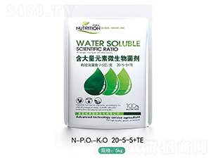 ������Ԫ��΢�������20-5-5+TE-�߿���