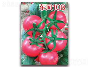 ����108-�۹���������-�ϰ��̺�