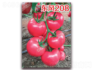 ����208-�۹���������-�ϰ��̺�