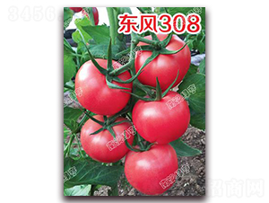 ����308-�۹���������-�ϰ��̺�