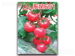 ����601-�۹���������-�ϰ��̺�