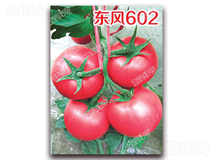 ����602-�۹���������-�ϰ��̺�