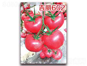 ����602-�۹���������-�ϰ��̺�