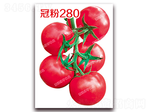 �ڷ�280-�۹���������-�ϰ��̺�