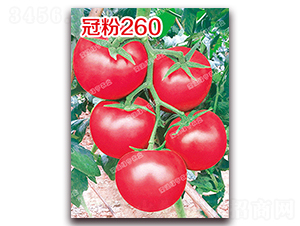 �ڷ�260-�۹���������-�ϰ��̺�